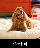 【賃貸特集】ペット可